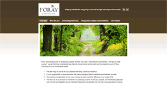 Desktop Screenshot of forayconsulting.com